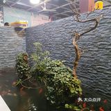 清水河畔新网红餐厅