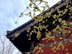 -钱王祠