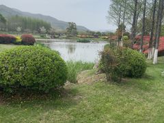 -径山花海