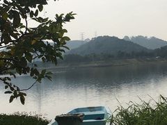 -风云岭森林公园