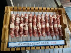 呼伦贝尔羊肉串-很久以前羊肉串(中山公园店)