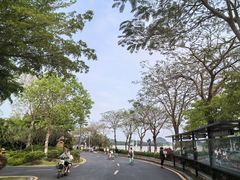 -长洲岛