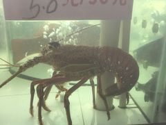 -太古汇海鲜姿造(延寿店)