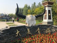 -武清南湖绿博园