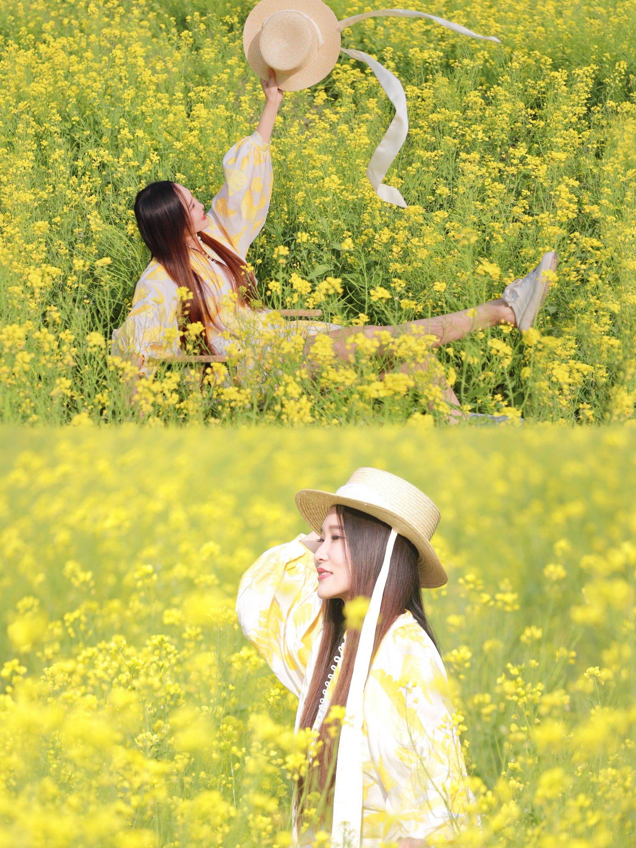 北京小婺源98四五月份京城梨园油菜花正当时