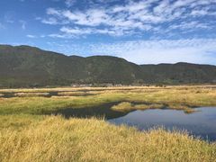 -腾冲北海湿地