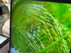 -淡马茶坊(深圳宝安壹方城店)