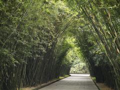 -望江楼公园