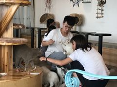 -共舞时光猫咖·狗咖(新街口店)