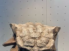 -重庆自然博物馆(新馆)