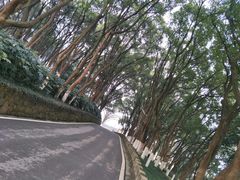 -上海市保健医疗中心(华东疗养院)