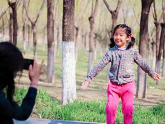 -大兴滨河森林公园