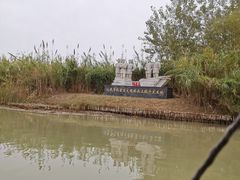 -泗洪洪泽湖湿地景区