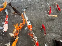 -天津海河悦榕庄·Lobby Lounge大堂吧