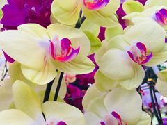 -兰陵国家农业公园