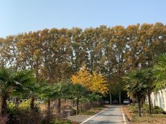 -河南省黄河迎宾馆