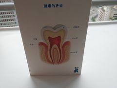 -马泷齿科·成都锦江置略马泷口腔门诊部(IFS国金中心店)