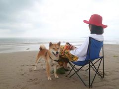 -那香海钻石沙滩浴场