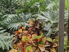 -上海鲜花港