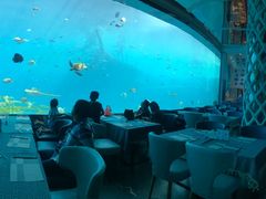 -瑞德姆美人鱼海底演艺主题餐厅(亚龙湾店)