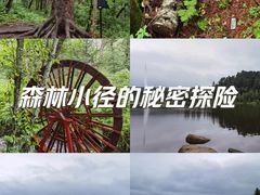-五营国家森林公园