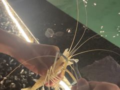 -DGE季风钓虾营地·团建·聚会