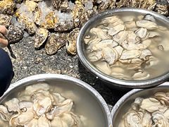 -花苑美食横琴生蚝火锅(拱北粤华路店)