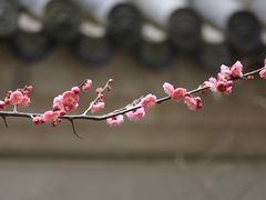 -墨池公园
