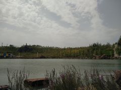 景点-小绿谷公园