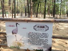 -鄱阳湖国家湿地公园
