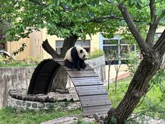 -西安秦岭野生动物园