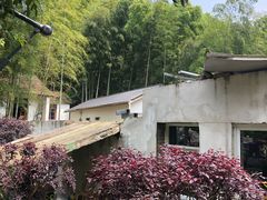 -黄公望隐居地