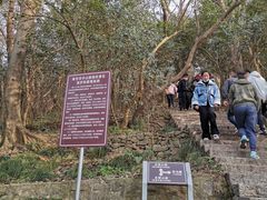 -紫金山索道-售票处