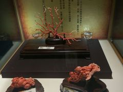 -东海珊瑚博物馆