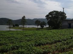 -洈水景区