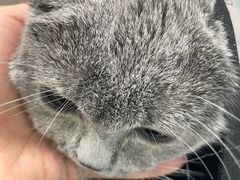-达爱动物医院·犬猫分区·CT·复杂眼科(远洋山水分院)