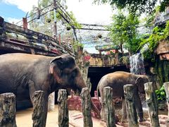 -长鹿旅游休博园