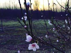 -汉长安城未央宫国家考古遗址公园