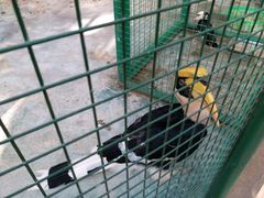 -西安秦岭野生动物园