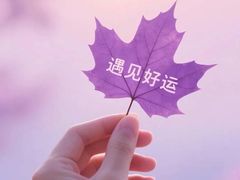 -味多美蛋糕(杨闸环岛店)