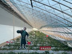 -北戴河集发农业梦想王国