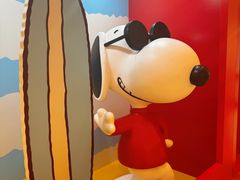 -九木杂物社(中心店)