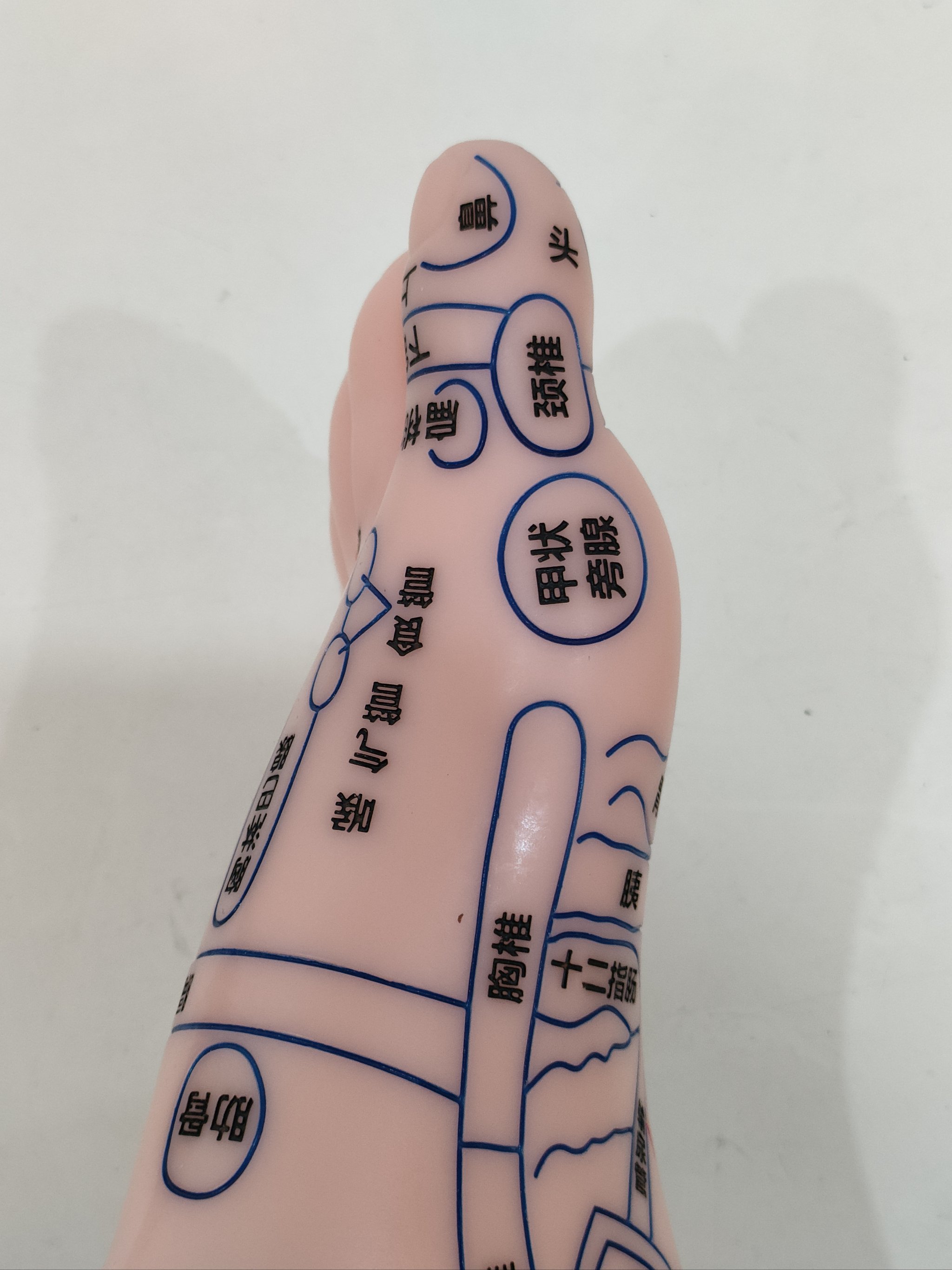 传统医学背后的故事