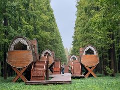 -黄海国家森林公园