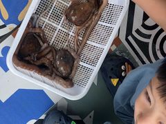 -常家活海鲜小吃(仅一家无分店)