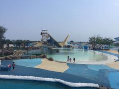 -秦皇岛乐岛海洋王国