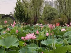 -太阳宫公园