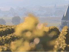 -东莞植物园