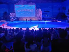 -华夏文旅海洋公园