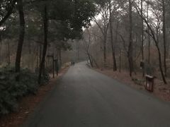 -西湖天地